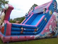 /album/nafukovaci-skluzavka-mickey/img-20160529-103445-jpg/