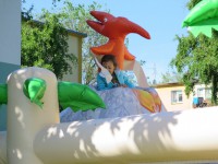 /album/fotogalerie-obri-atrakce-pravek1/img-7450-jpg/