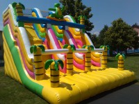 /album/fotogalerie-nafukovaci-skluzavka-dino/img-20150705-120857-jpg2/