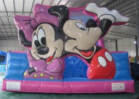 /album/fotogalerie-nafukovaci-skluzavka-micky/img-0001-jpg1/