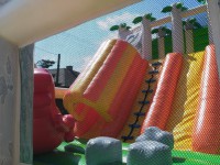 /album/fotogalerie-obri-atrakce-pravek1/img-20170709-104610-jpg1/