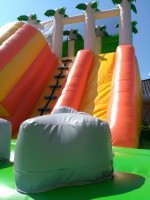 /album/fotogalerie-obri-atrakce-pravek1/img-20170709-104843-jpg1/