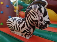 /album/fotogalerie-centrum-safari-8m-s-x-6m-d-x-3-44m-v/img-20200604-080808-jpg/