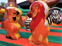 /album/fotogalerie-centrum-safari-8m-s-x-6m-d-x-3-44m-v/a84163075-257733228889697-4961475661282630688-n-jpg/