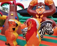 /album/detske-aktivni-centrum-safari/a72893707-861316824274009-4255914606861583062-n-jpg2/