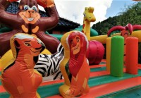 /album/detske-aktivni-centrum-safari/a104025987-1502358649973348-3150443131710600275-n-jpg2/